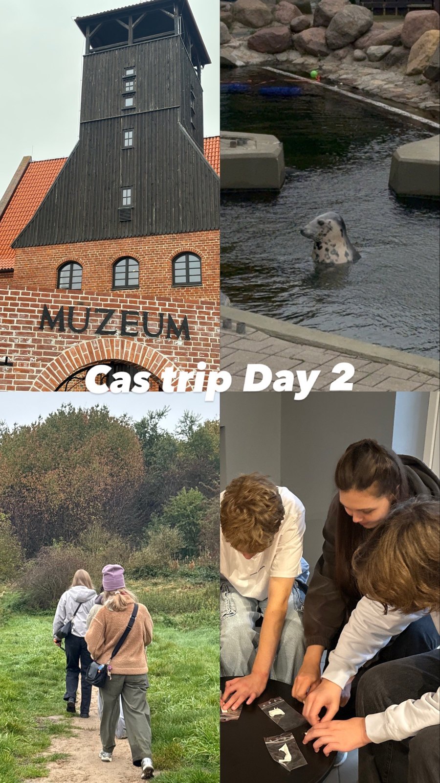 Museum visit, seal centre, outdoor walk and a shared activity